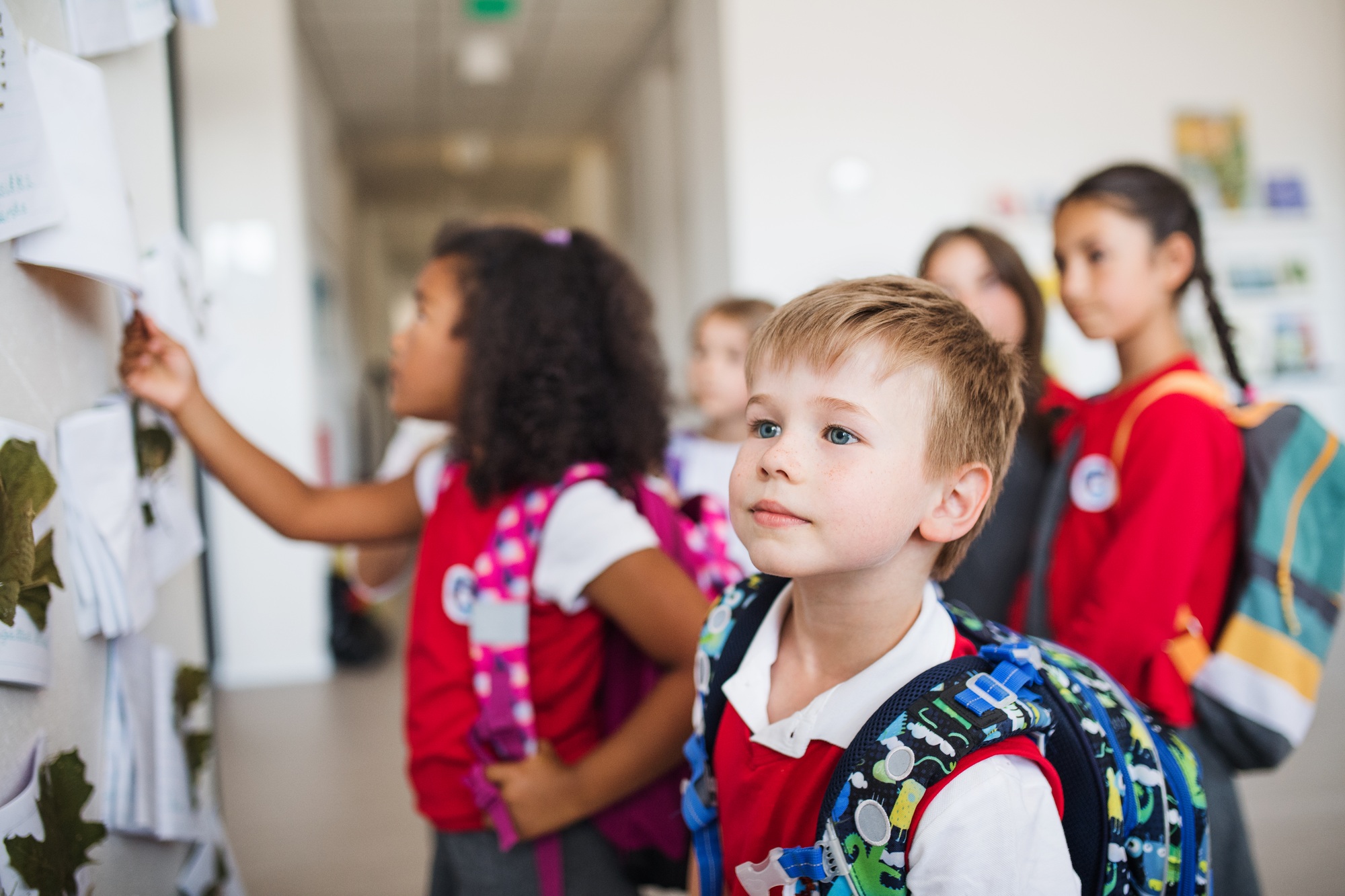 A group of cheerful small school kids in corridor, standing